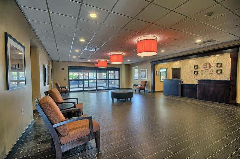 Comfort Inn & Suites Wadsworth Exterior photo